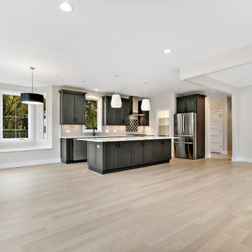 Contemporary Remodel