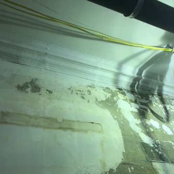 Plaster Crown Molding
