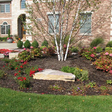 LR Landscape bed