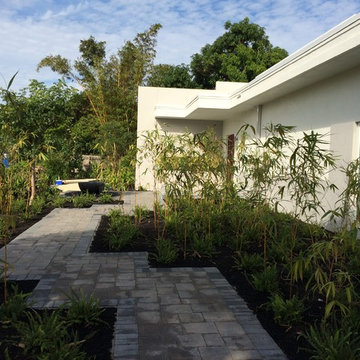 Orchard House Bamboo Garden Entry Walk