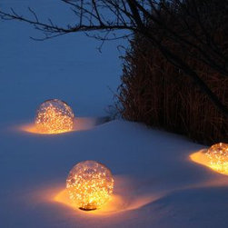 Specialty Lights - Landscape Lighting