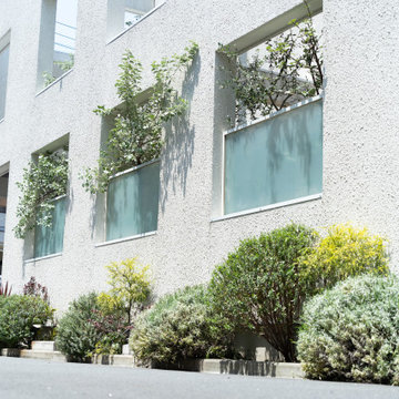 南仏風の明るいお庭 / South of France style bright garden