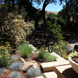 This is an example of a huge drought-tolerant and partial sun hillside stone retaining wall landscape in San Francisco for spring.