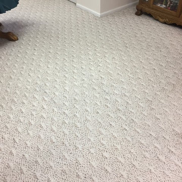 Bloomingdale Basement Berber Carpet Cleaning