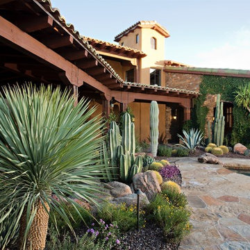 Everyday Escape - Phoenix Home & Garden