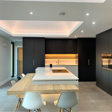 Matt Graphite and Pale Grey Breakfasting Kitchen and Family Room