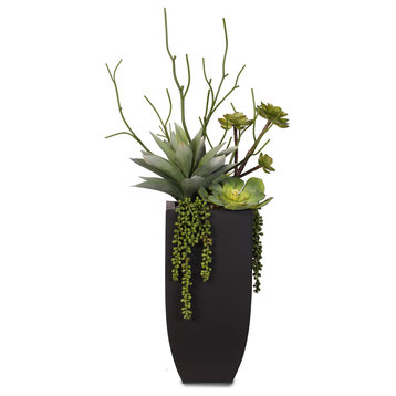 Botanical Succulent Variety With Tall Black Modern Metal Planter