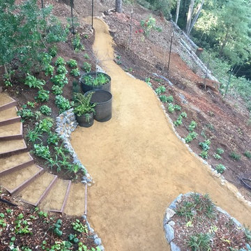 View From the Top Deck