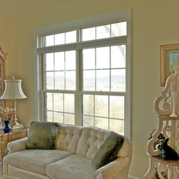 Treesdale Townhouse Project - Windows
