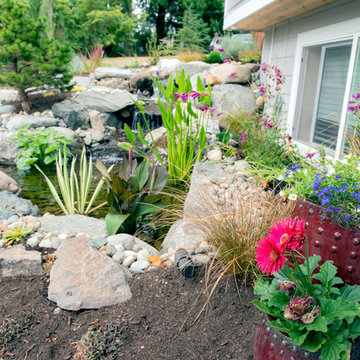 Waterfall and Koi Pond
