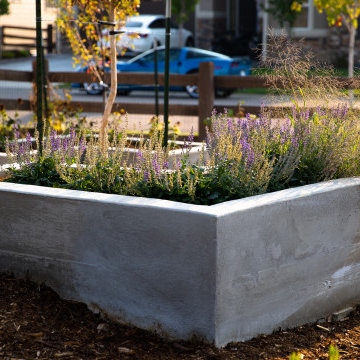 Modern Low-Maintenance Garden