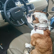 Brian Dykeman's photo