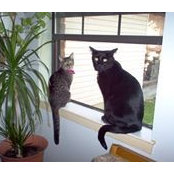 Foto von Terrie Lee