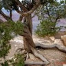 Pauline Schaffer's photo