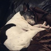 Andrea Lanphear's photo
