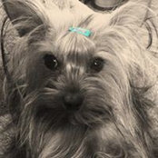 Diane Estes's photo