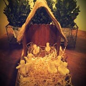 Shay Powell's photo