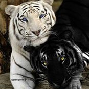 Foto de Mandy Jasen