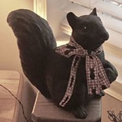 Denise Evans's photo