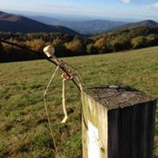 Juancho Pena's photo