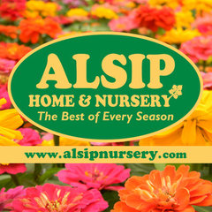 Alsip Home & Nursery