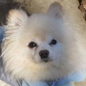 Anne Golias's photo