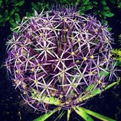 Amy Paasch's photo