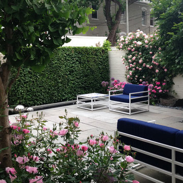 Contemporary Urban Garden