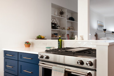 Kitchen - transitional kitchen idea in New York