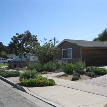 Garden Grove Native/Succulent Front Yard