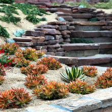 deborah_blais's Ideas