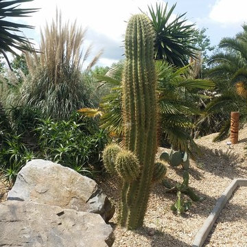 Jardin d'exposition de notre pépinière