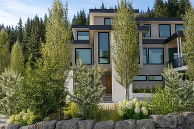 Modern Mountain
