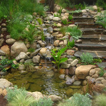 streams