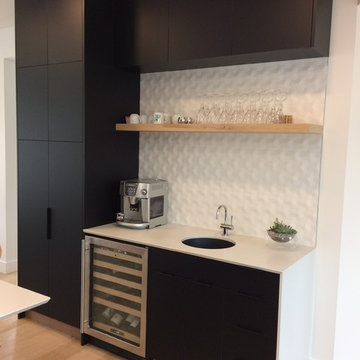 Matt Black Flat Panel Mid-century Modern