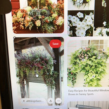 Window Boxes Greenhouse
