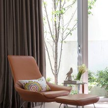 curtains