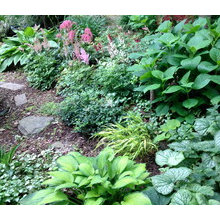Garden Ideas