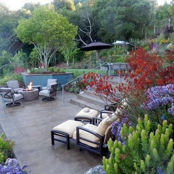Mill Valley Hillside Garden