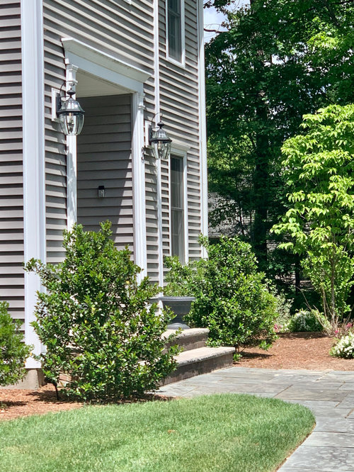 Best trees to plant on either side of front door?