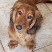 Angela Roehrig's photo