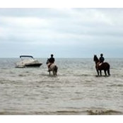 Erin Risso's photo