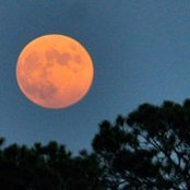Ann Wolfe's photo