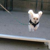 Kim Kier's photo