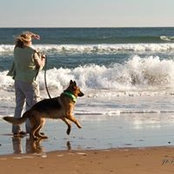Monica Derr's photo