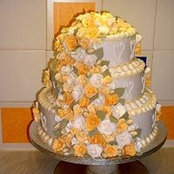 Sue Withers's photo