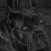 Diane Connors's photo