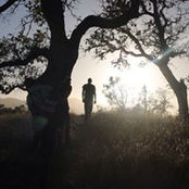 Mohammad Moustafa's photo