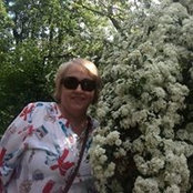 Олена Луца's photo