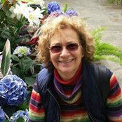 Foto von Laurie Sense
